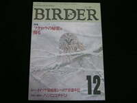 ◆バーダー 1991/12◆フクロウの秘密を探る,オイツク探検隊シベリア珍道中記,ハジロコチドリ