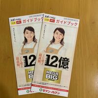 スポーツくじ ガイドブック toto BIG 2枚 石田ゆり子 セブンイレブン