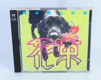 叫ぶ詩人の会「花束」CD + 8cmCD ベスト盤【良品】ドリアン助川 #4581