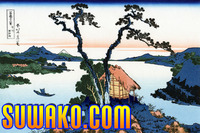 トップレベルドメイン　suwako.com 諏訪湖　超稀少　個人所有　完全未使用
