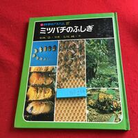 Y07-254 科学のアルバム27 ミツバチのふしぎ 栗林慧・写真 七尾純・文 あかね書房 1977年発行 四季 かぞく からだ 生態 仕事 敵 など