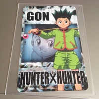 HUNTER×HUNTER ハンターハンター ゴン カード ジャンプフェア アニメイト 2001 レア