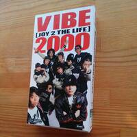 真心ブラザーズ【VHS ビデオ】VIBE 2000[JOY 2THE LIFE]