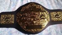 PSA/DNA社　ビル・ゴールドバーグ 直筆 サイン 入り WWE レプリカ チャンピオン ミニベルト