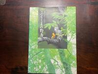 ふくしまの野鳥　全国野鳥のつどい記念誌　バードウォッチング　会津　福島県の野鳥がとても詳しいです。　１７４ページ