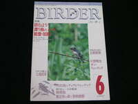 ◆バーダー 1991/6◆訪ねよう! 渡り鳥のメッカ 能登・加賀