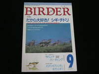 ◆バーダー 1991/9◆だから大好き! シギ・チドリ