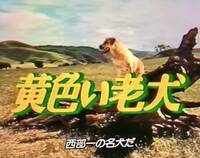 【レンタル落ち・VHSビデオソフト】黄色い老犬、総指揮／ウオルト・ディズニー、未DVD化、歴史的名作品、日本語字幕、1957年 アメリカ映画