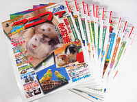 わが家の動物マガジン Anifa アニファ 2001年1月～12月号 全12冊セット (スタジオ・エス)