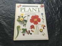 032208 洋書植物図鑑　EYEWITNESS BOOKS PLANT Discover the world of plants in close-up-their structure, natural history