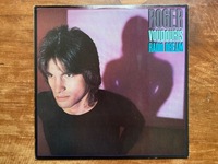 ROGER VOUDOURIS　RADIO DREAM　ロジャー・ヴードリス　ラジオ・ドリーム　レコード