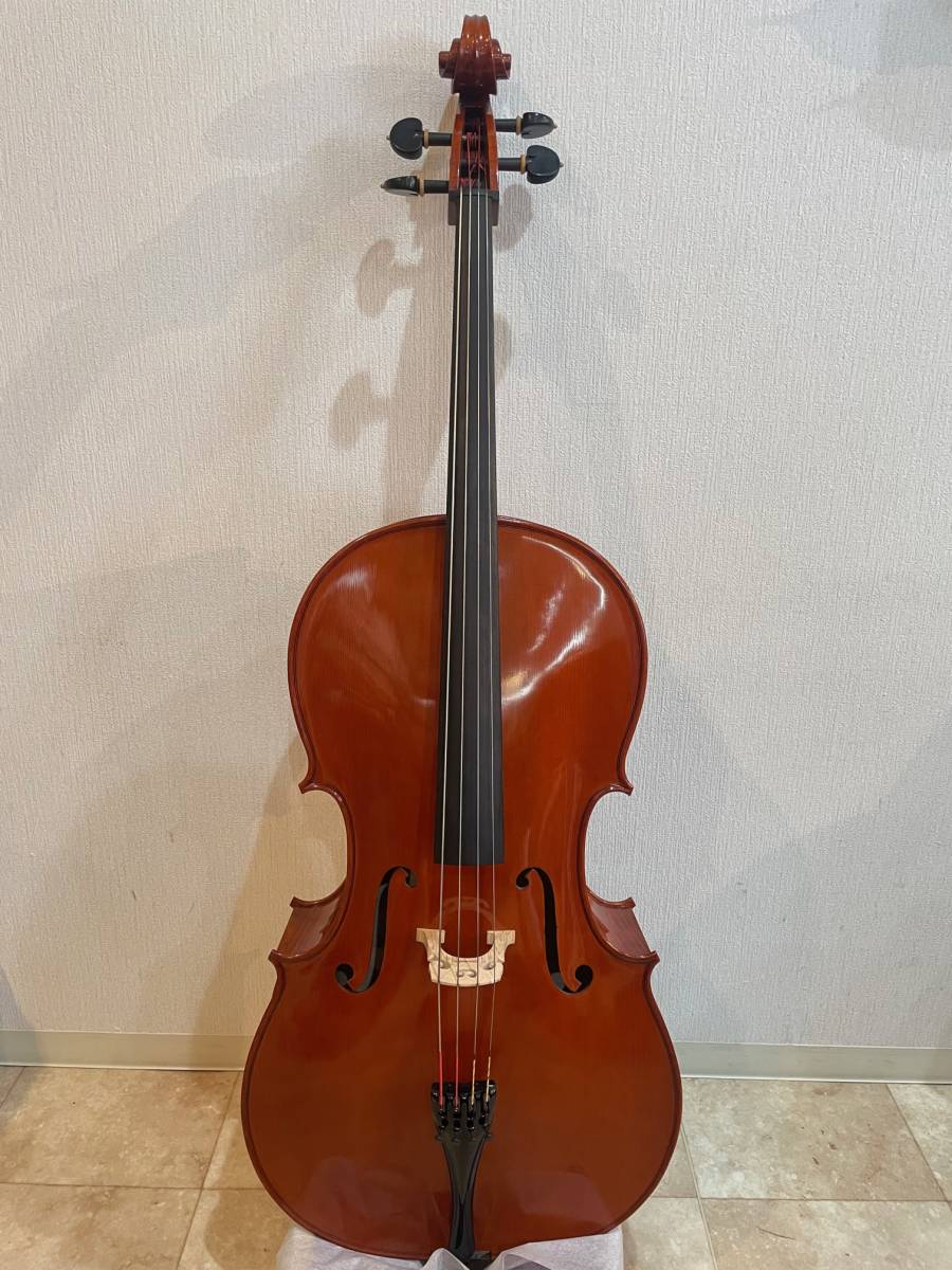 Cello - String instrument - Musical instruments - Hobby and