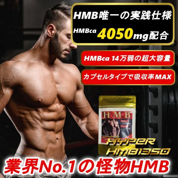 Supplement   Sport and leisure   bidJDM