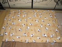 新品　寝具　２点セット　日本製　大阪　西川　スヌーピー　合繊　掛け布団　敷き布団　ベージュ　ジュニア　暖か