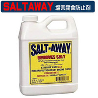 SALT-AWAY(ソルトアウェイ) ソルトアウェイ(塩害腐食防止剤) 原液 946mL　釣り　フィッシング　水上バイク　ジェット