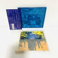 【2枚セット】ORIGINAL LOVE　オリジナル・ラヴ　SUMMER LOVE　サマー・ラヴ　SESSIONS　邦楽　CD　50901kos2