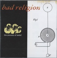 バッド・レリジョン/Process of Belief 12thアルバム（2002）音楽cd Bad Religion punk メロコア パンクロック
