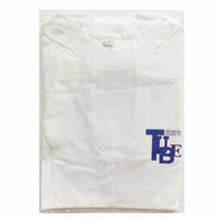 TUBE チューブ LIVE AROUND '96 ONLY GOOD TIMES Tシャツ 白 胸ロゴ