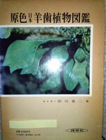 原色日本羊歯植物図鑑(保育社）