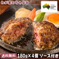 満点ハンバーグ 180g×4個　ソース付き 牛肉 お肉 人気 静岡県 さわやかなオニオンソース付 マルマツ食品 オーストラリア