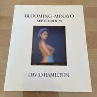 渡辺美奈代写真集 BLOOMING-MINAYO　セミヌード　スコラ　デヴィッド・ハミルトン　