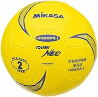 ボール単品 MIKASA ハンドボール 練習球2号 女子用 一般大学高校中学校用 軽量球180g ソフトタイプ HVN220S-B