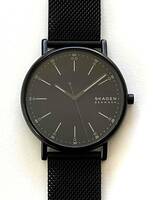 SKAGEN スカーゲン 腕時計 シグネチャー ミッドナイト スチールメッシュウォッチ SKW6579 メンズ ブラック