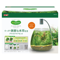 話題の新商品　　GEX MeGreen（メグリーン） 新鮮な水草付き グラステリア 200セット