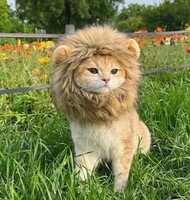 「ライオン変身 - 猫用ライオン帽子Sサイズ」ペット 帽子