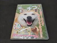 セル版 DVD 未開封 柴犬のチコ。 / 難有 / ei398