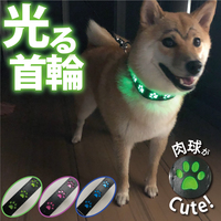 光る首輪 ピンクS 犬 散歩 肉球 LEDライト 夜 夜道 ペット USB充電 軽量 抗菌 安心 安全 事故防止 サイズ調節可能