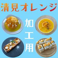 【ジュースやジャムやお菓子作りに】　濃い濃い☆　淡路島産清見オレンジ　加工用　サイズ混合　10kg