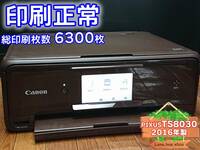 ☆印刷正常☆ 1円スタ PIXUS TS8030 キャノン Canon インクジェット複合機 プリンター ブラウン / 2016年製 中古 (管：GTRKB)