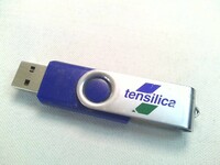 Tensilica　USBメモリー　2GB　　メモリーカード　フォーマット済み