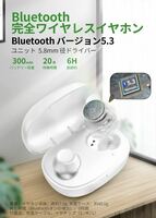 bluetooth5.3 ワイヤレスイヤホン 小型/軽量 イヤホン Bluetooth HiFi ブルートゥース AAC対応 Siri対応 IPX7防水 Type‐C急速充電