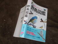 見わけがすぐつく 野鳥図鑑　小宮輝之(新書サイズ2020年)送料116円　バードウォッチング！
