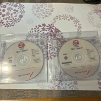 【送料込】秘文HIBUN DVD-R 13-00