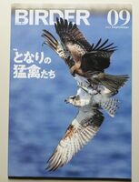 BIRDER 2022年9月号 バーダー　/　文一総合出版　/　猛禽類　オオタカ　ミサゴ　トビ　バードウォッチング　探鳥　野鳥撮影