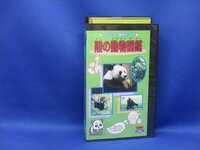ファミリー動物プラザ　陸の動物図鑑　VHSビデオ　90620
