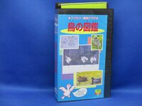 ファミリー動物プラザ　鳥の図鑑　VHSビデオ　VHSビデオ　90621