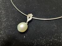 TASAKI真珠の定価 495,000円 の新品の南洋真珠ネックレス