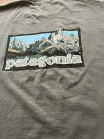 1996年 USA製 patagonia beneficial T's 半袖Tシャツ Msize パタゴニア