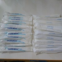 送料無料 使い捨て歯磨き液付キシリトール配合すぐに使える歯ブラシ等25本2種類 合計50本