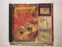 『Dinosaur Jr/Fossils(1991)』(SST RECORDS SST CD 275,輸入盤,初期音源集,グランジ,オルタナ,In A Jar,Freak Scene,J Mascis)