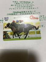 週刊Gallop 名馬クオカード アスコリピチェーノ 2023年 阪神JF 抽プレ 非売品 QUOカード ギャロップ