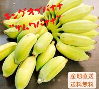 入手困難！！キングオブバナナ！バナナの王様！沖縄産ナムワバナナ農薬不使用コンパクトでお届け！！