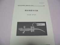 大阪市立自然史博物館　収蔵資料目録　第54集　爬虫類標本目録　２０２３年３月