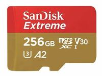 256GB　Sandisk golden マイクロSD カード　