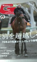 競馬　週刊Ｇallop　ギャロップ　４月２８日号　追悼・藤岡康太騎手　おまけ付