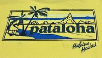 【patagonia】patalohaハワイ限定Tシャツ ハレイワ USA製 希少カラー S（M相当） 